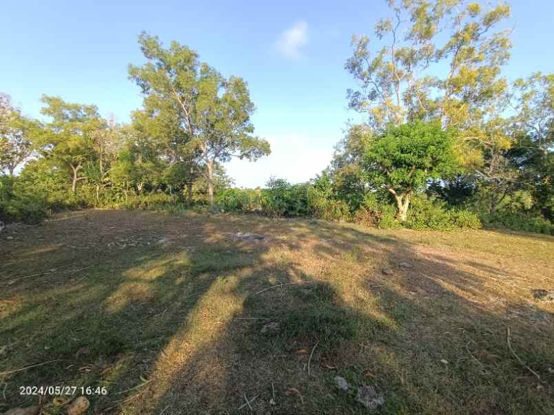 disewakan tanah pecatu badung bali