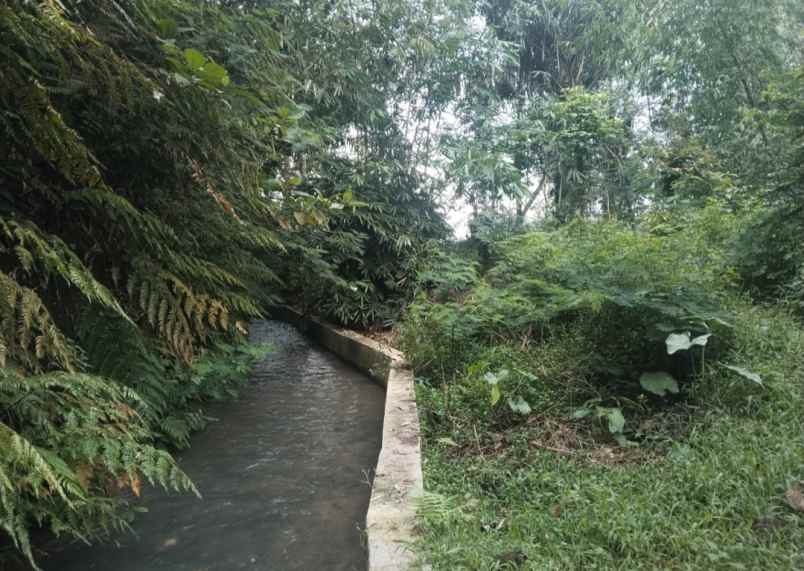 for sale tanah kebun ciater subang jawa barat