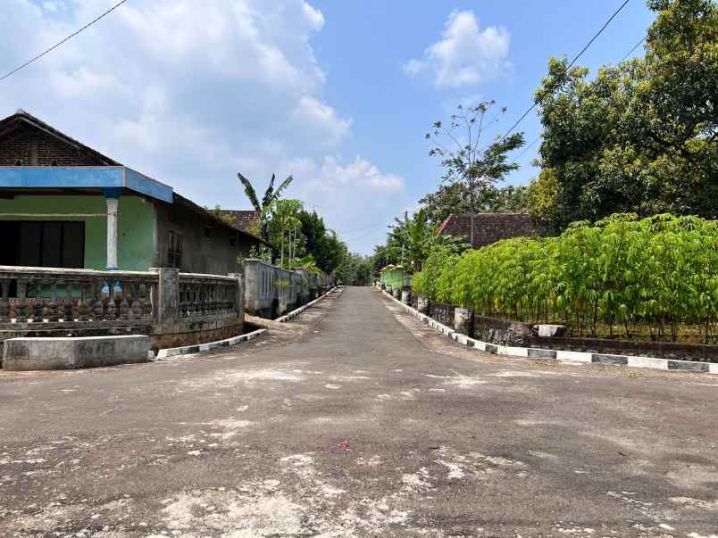 jual cepat tanah pekarangan datar sragen