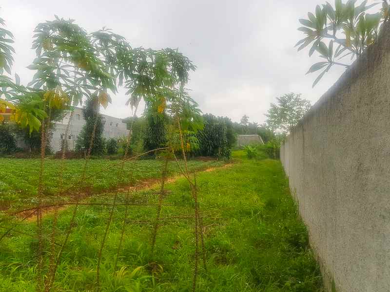 jual murah tanah rawakalong dekat serpong