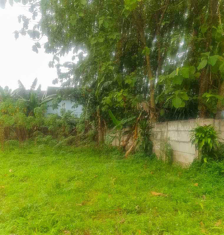 jual murah tanah rawakalong dekat serpong