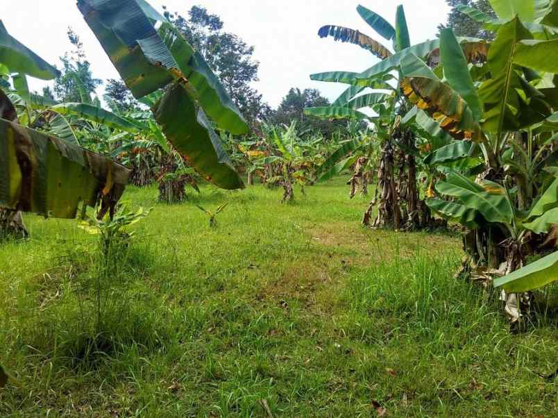 jual tanah di pinggir jalan raya denpasar gilimanuk