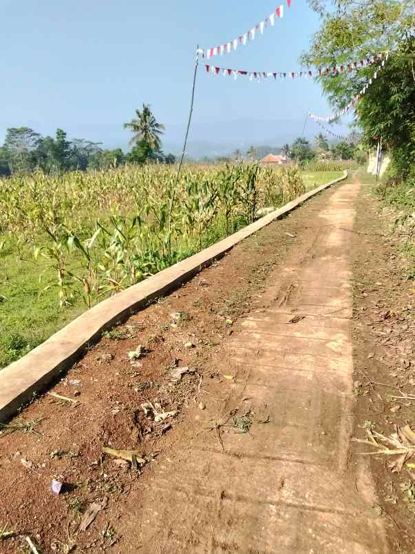 jual tanah kebun sawah