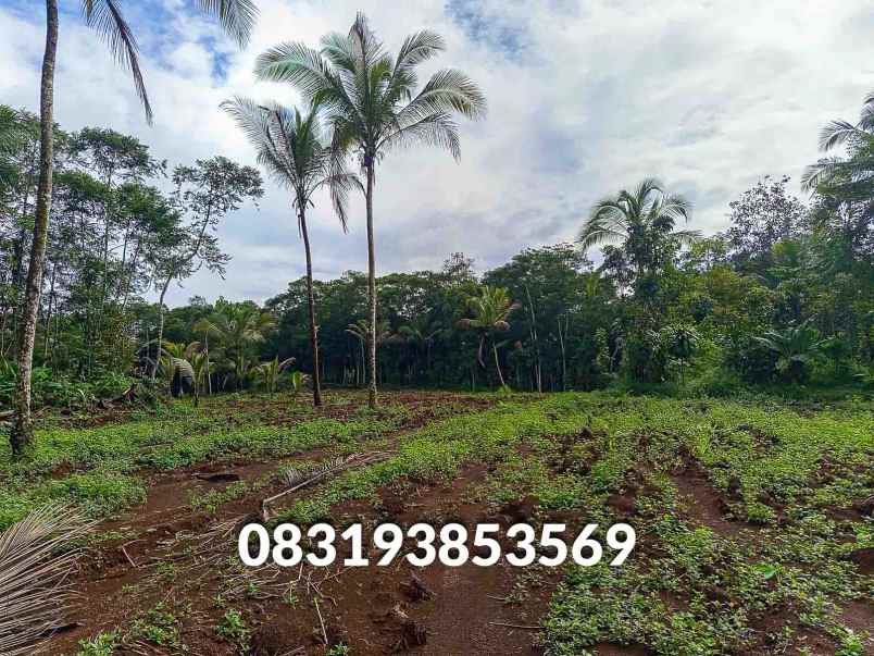 jual tanah murah pandeglang banten