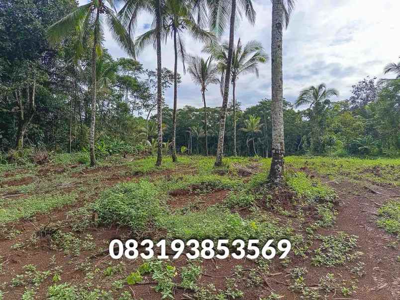 jual tanah murah pandeglang banten