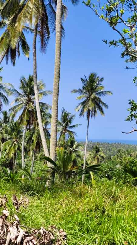 jual tanah murah view laut di kawasan pantai balian