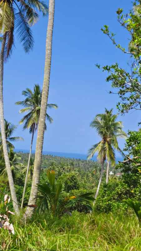 jual tanah murah view laut di kawasan pantai balian