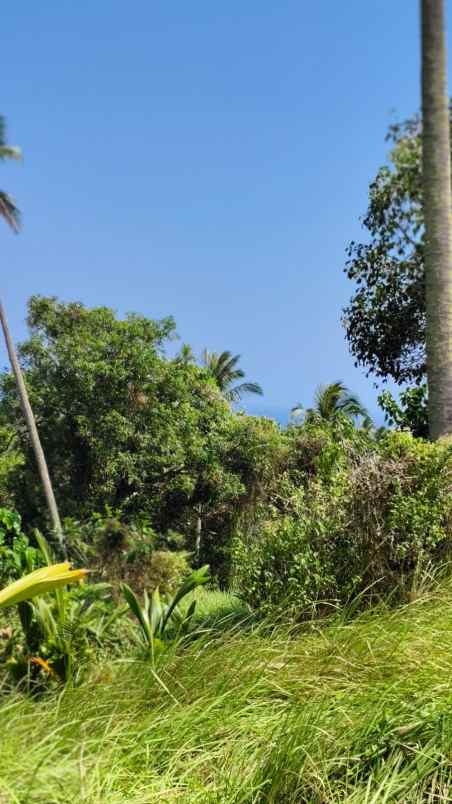 jual tanah murah view laut di kawasan pantai balian