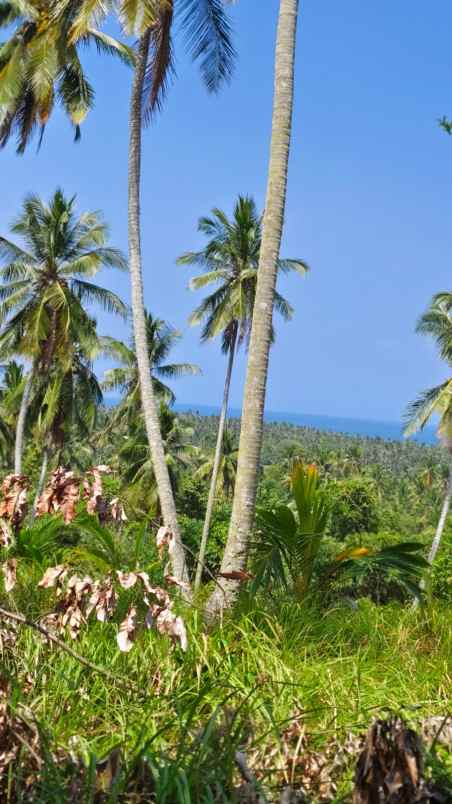 jual tanah murah view laut di kawasan pantai balian