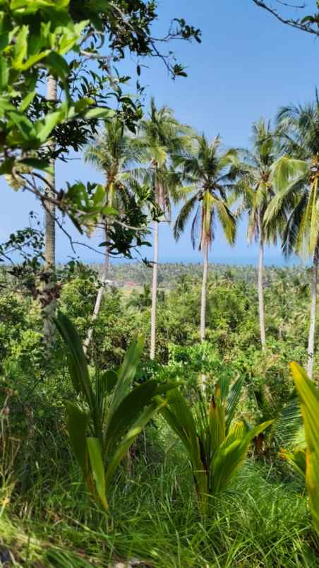 jual tanah murah view laut di kawasan pantai balian