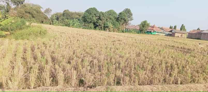 jual tanah sawah daerah pangulah baru