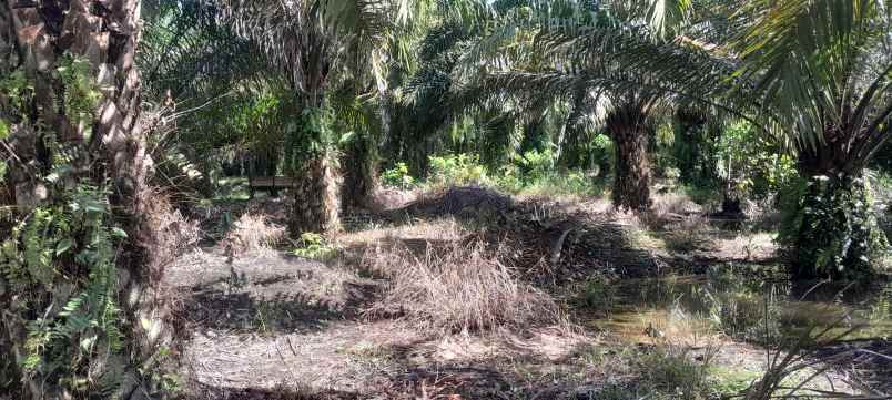 jual tnah strategi pggr jlnraya kompleks pabrik baja