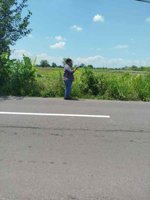 lahan industri 5 ha siapbangun diklaten op 650rb m2