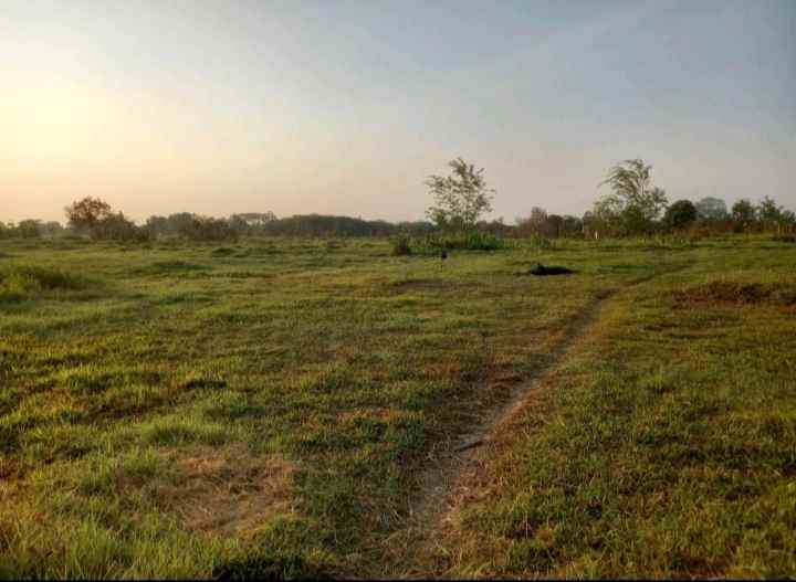 lahan industri 5 ha siapbangun diklaten op 650rb m2