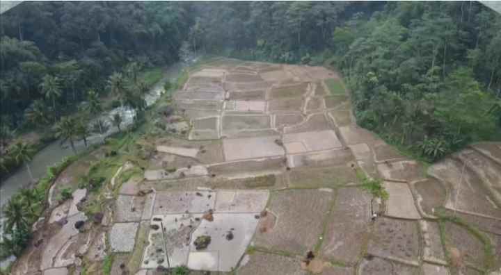 lahan kebun produktif strategis kolam ikan subang