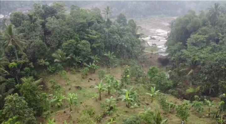 lahan kebun produktif strategis kolam ikan subang