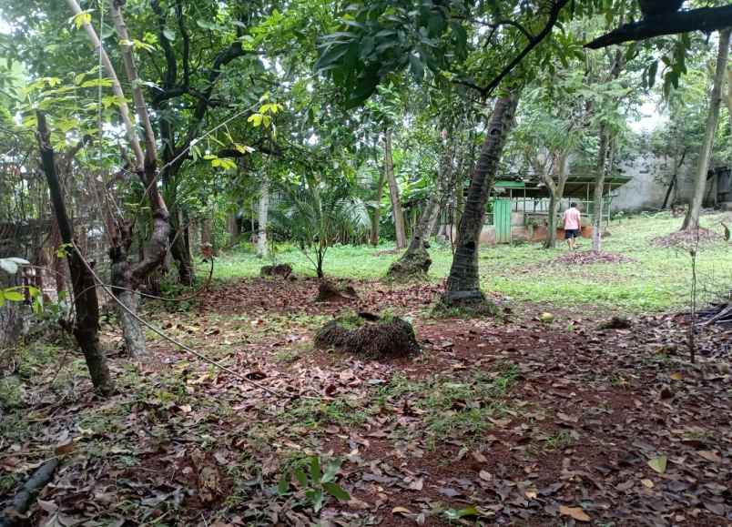 lokasi dalam komp ddn i pondok labu