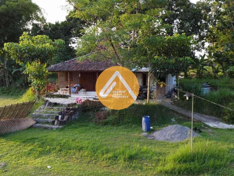 rumah mungil tengah sawah dekat kota sleman