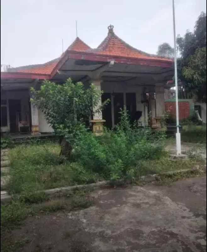 rumah murah dan luas jual murah di cipinang muara