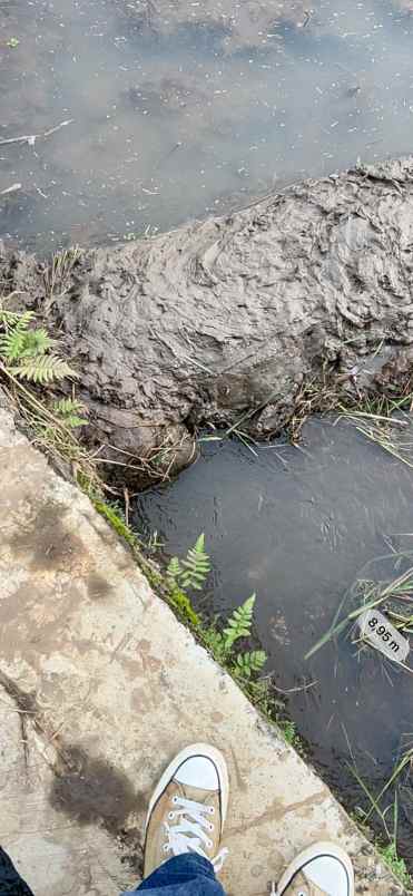 sawah super strategis tepi jalan raya mojogedang