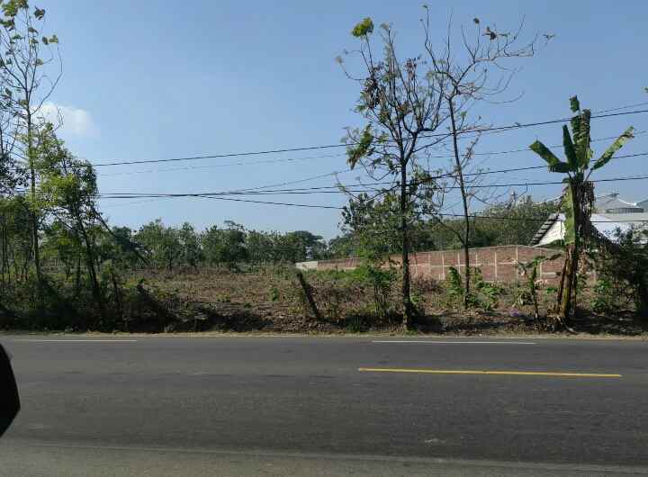 sebidang tanah nol propinsi tuban babat