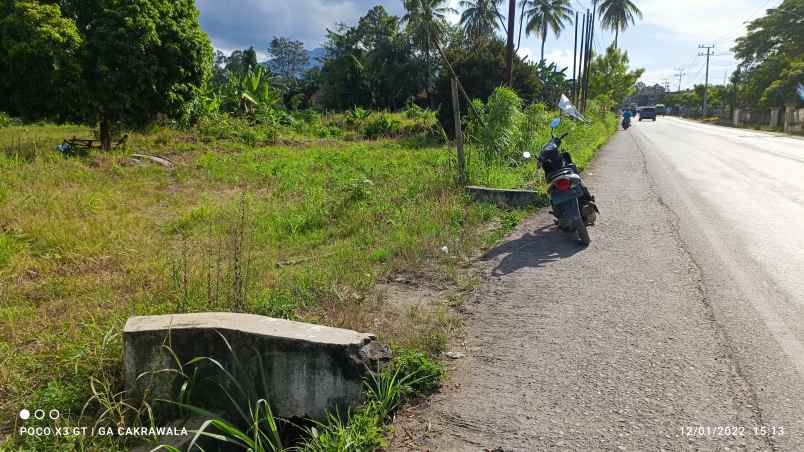 tanah 1 hektar 10 000m di negeri sakti pesawaran