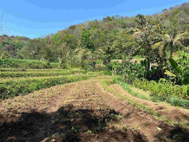 tanah 1327m dekat aliran sungai pegunungan ngargoyoso