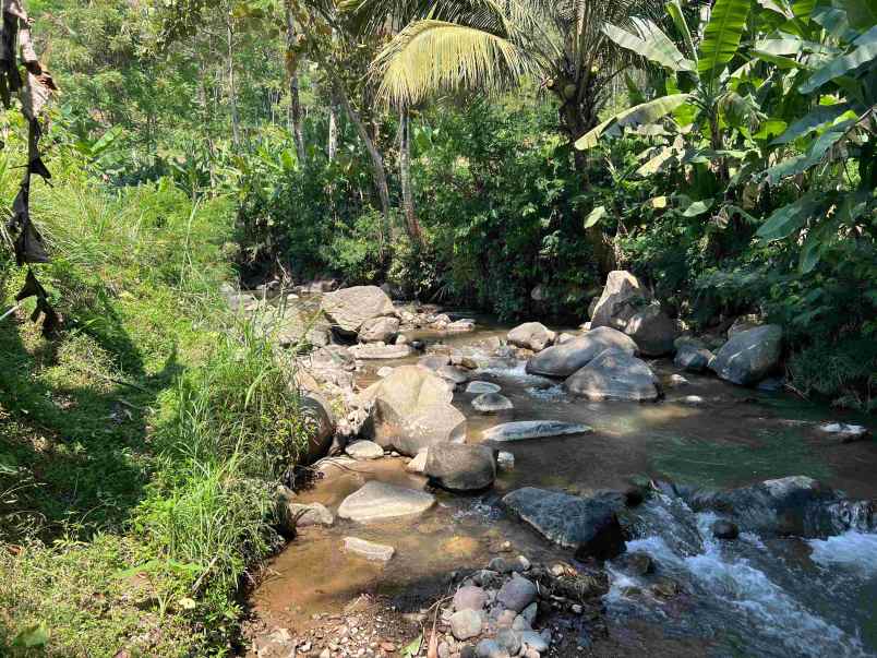 tanah 1327m dekat aliran sungai pegunungan ngargoyoso