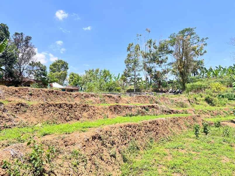 tanah 800m cocok untuk kebun buah karangpandan