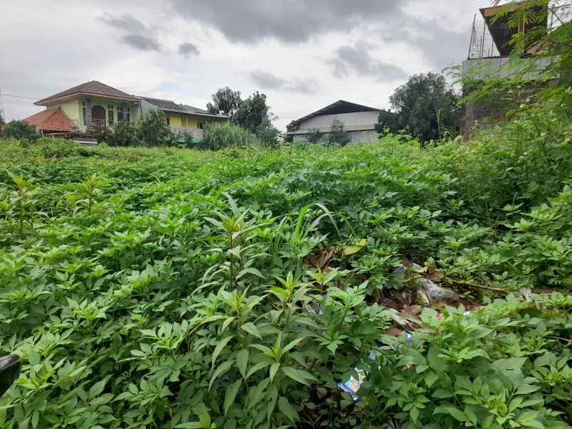 tanah bagus dan padat sudah pondasi