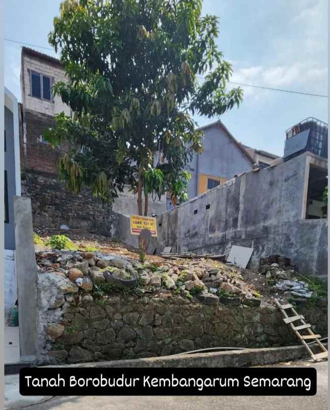 tanah borobudur kembang arum semarang