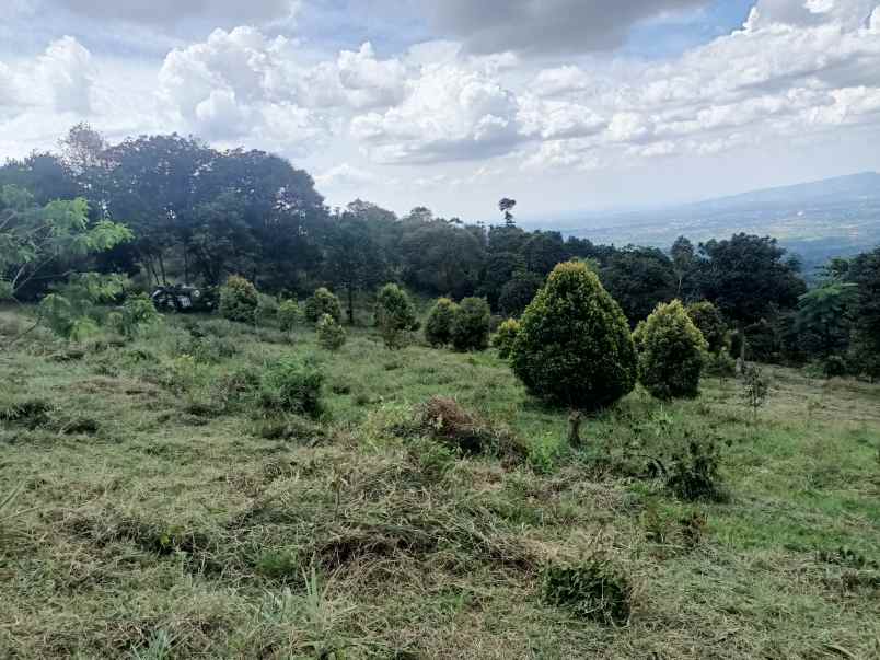 tanah cijeruk bogor gunug salak best view