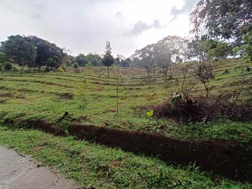 tanah cijeruk bogor gunug salak best view