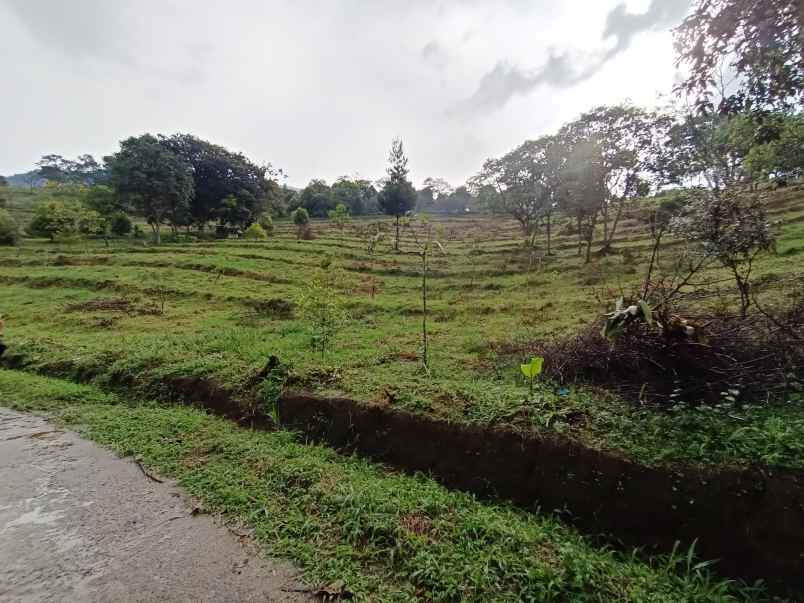 tanah cijeruk bogor gunug salak best view