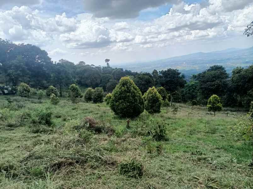 tanah cijeruk bogor gunug salak best view