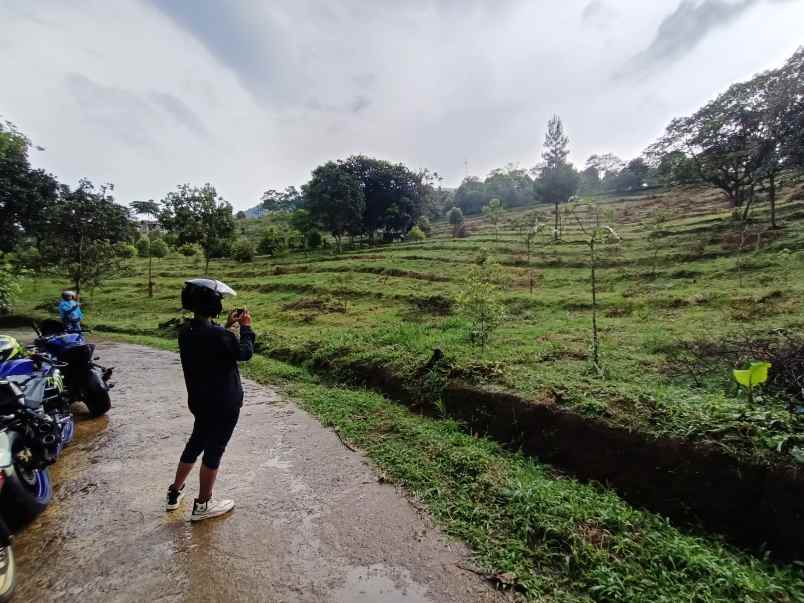 tanah cijeruk bogor gunug salak best view