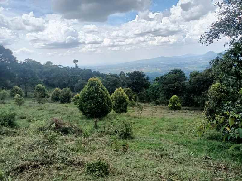 tanah cijeruk bogor gunug salak best view