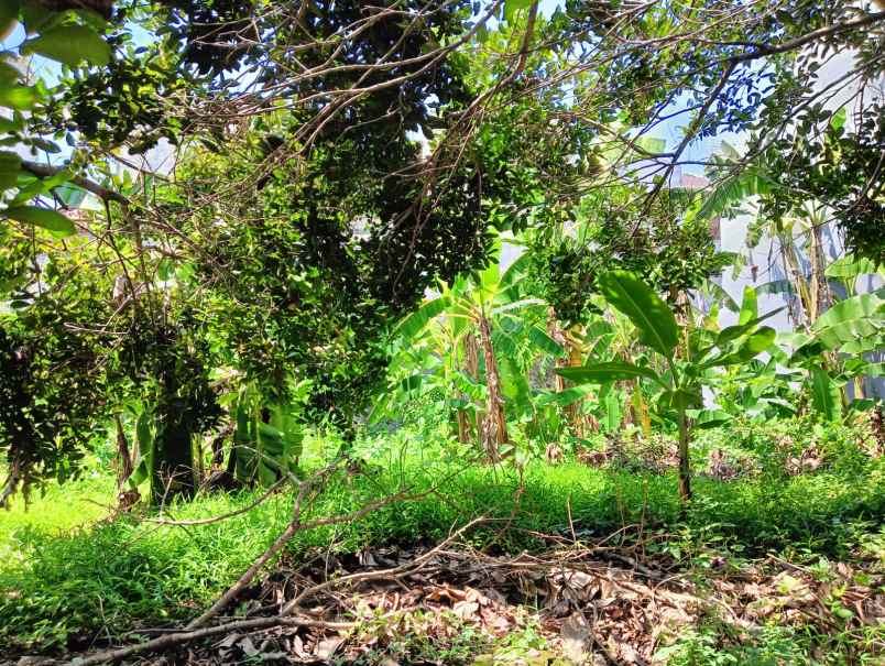 tanah dalam perumahan permata semeru candisari