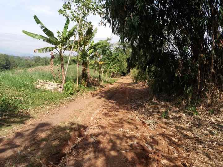 tanah darat dan sawah di kota purwakarta