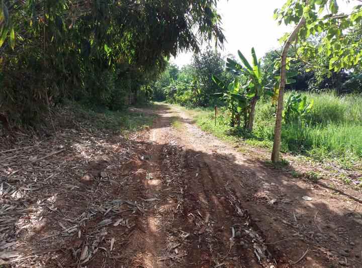 tanah darat dan sawah di kota purwakarta