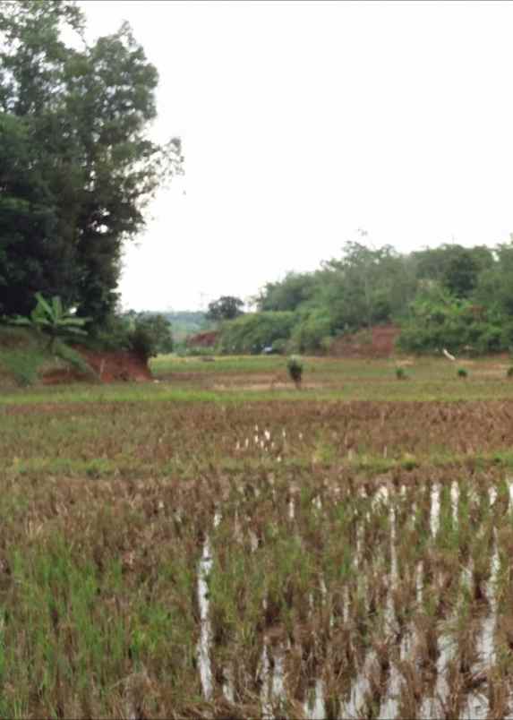 tanah darat dan sawah di kota purwakarta