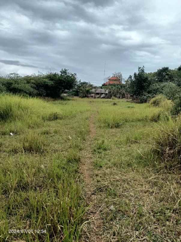 tanah di pura masuka ungasan bali dekat jalan uluwatu