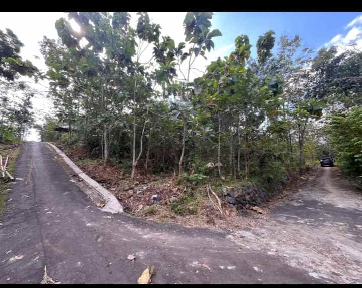 tanah dua sisi jalan cocok untuk rumah