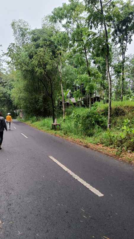 tanah jl kaliandra dayurejo prigen