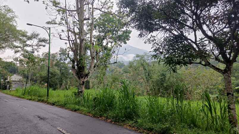 tanah jl kaliandra dayurejo prigen