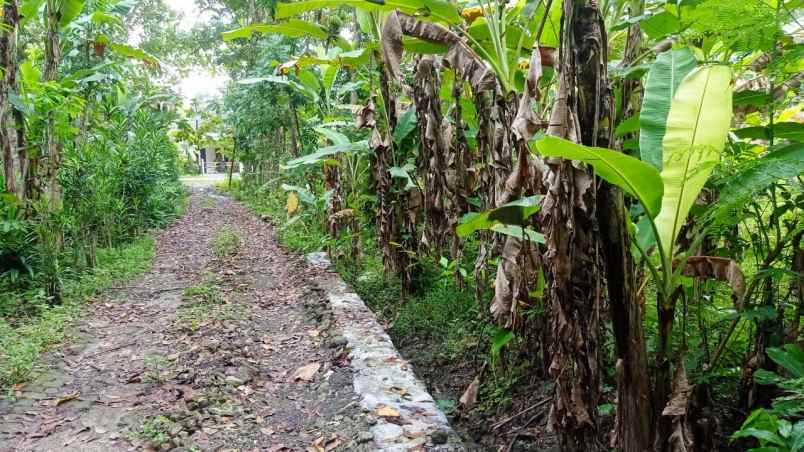 tanah jl permana lemahdadi