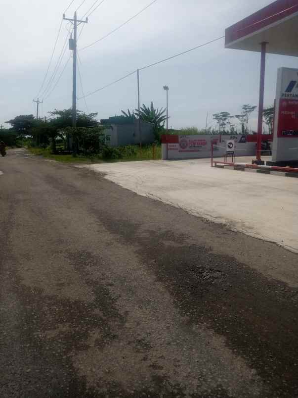 tanah jl sumberharjo pemalang ds