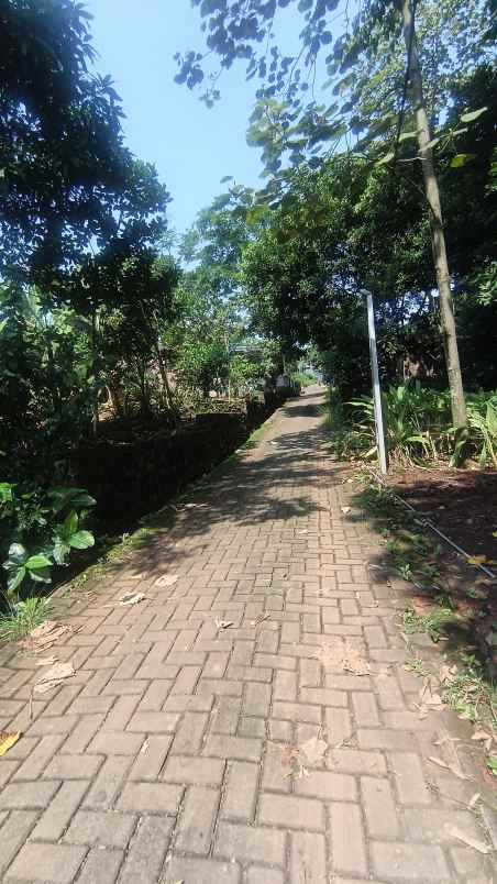 tanah kavling murah kuripan mijen semarang