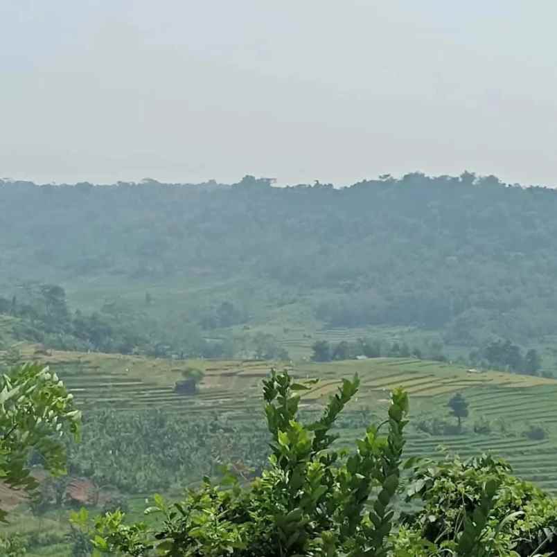 tanah kavling pinggir jalan di bogor timur