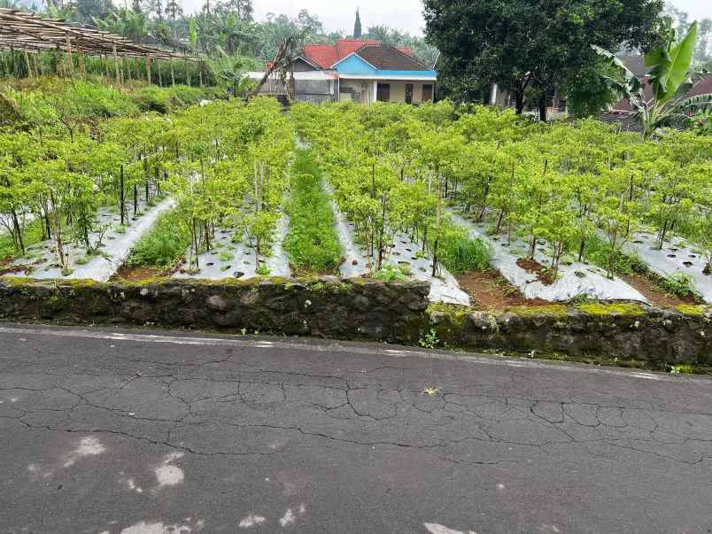tanah kawasan wisata 400m2 kemuning karanganyar